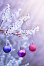 Three Christmas Balls by Xenia Chowaniec on 500px