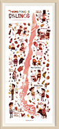 Mapa de tragos Chilenos / Mappin Chile