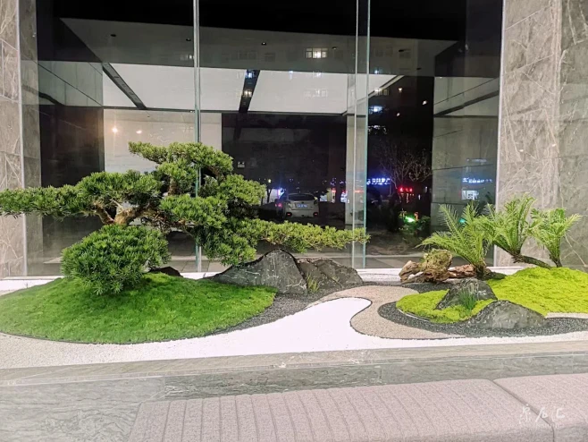 室内景观造景