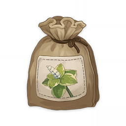 Mint Seed : Mint See...