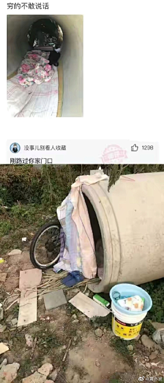 广东第一靓采集到『含笑九泉』