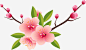 春天绽放的红色桃花图宝宝 https://bao16.com 春天桃花 美丽桃花 绽放的桃花 桃花朵朵开 春意盎然 红色桃花