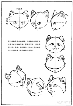 章淑玄采集到教程