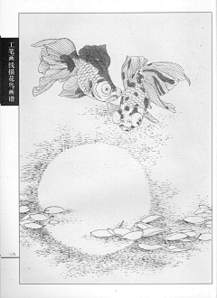 五金大队长采集到白描