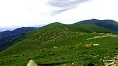 五台山---爱的信仰 （我愿长途跋涉无限远，只为看清你的容颜）