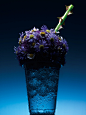 flower floral design Food  food photography flowerphotography арт artdesign stylist stuffstudio