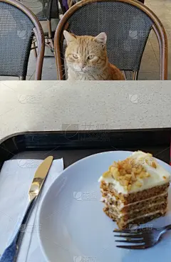 蛋糕,猫,贺卡,土耳其,圣诞蛋糕,梦想,动物,童话故事,彩虹,甜馅饼