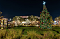 870573-Long-Beach-Christmas-USA-Houses-California-Christmas-tree
