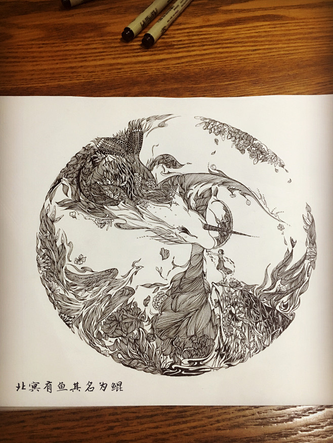 北冥有鱼其名为鲲