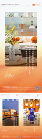 橙色系列刷屏-源文件