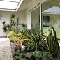 Dover Shores - Midcentury - Garden - Orange County - by Falling Waters Landscape | Houzz UK : Dover Shores - Midcentury - Garden - Orange County - by Falling Waters Landscape | Houzz