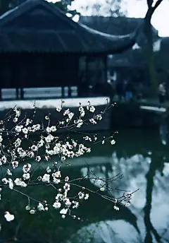赤阑桥尽香街直，笼街细柳娇无力。金碧上青空，花晴帘影红。黄衫飞白马，日日青楼下。醉眼不逢人，午香吹暗尘。   --菩萨蛮 陈克 宋唯美图片大全：http://weimeitu.cc  
图片大全唯美：http://weimeitu.cc  
小清新图片：http://weimeitu.cc 
