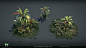 Diablo IV - Vessel of Hatred Jungle Foliage