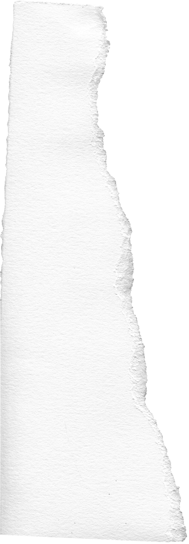 撕纸
