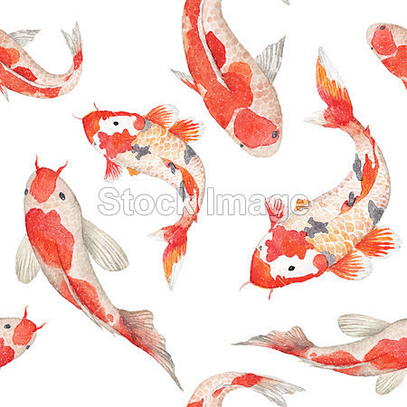 水彩彩虹鲤鱼图案 #锦鲤# #插画# #...