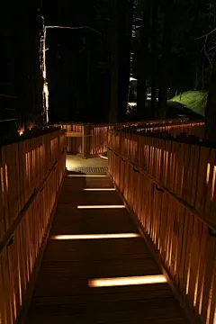 我要去旅行：新西兰树屋餐厅