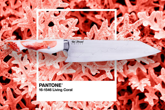 PANTONE 2019年度颜色世界级刀...