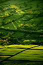 Edale valley, Derbyshire, England