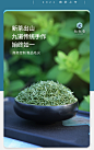 【春茶现货】2021明前特级新茶信阳毛尖嫩芽茶叶春茶绿茶125g*2罐-tmall.com天猫