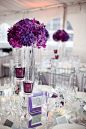 紫色和白色主题的婚礼，好美！