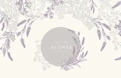 图源免费EPS文件 |薰衣草花卉背景集
