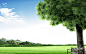 bench landscapes meadows nature sky wallpaper (#2372909) / Wallbase.cc