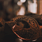 [cp]гастон леру. «призрак оперы». ​​​[/cp]

——微博@Ouvg