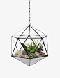 urban outfitters Triangles Terrarium多肉花房玻璃花房