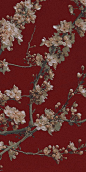 Red backround & Sakura flower