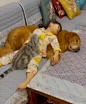 从此君王不早朝
这生活，腐朽了