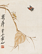 齐白石——蝴蝶 - 堆糖