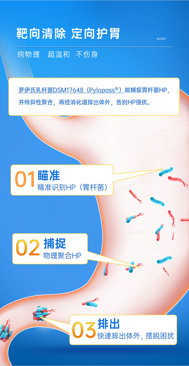 乐力德国pylopass益生菌大人肠胃护...