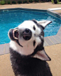 Can we go swimming? Please? I love you.: 