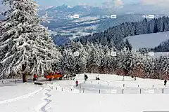 自然 高清壁纸 自由背景 笔记本电脑壁纸 免费壁纸 雪