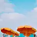 closeup photo of lounger chairs and beach umbrellas