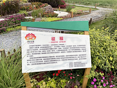 LY的景观小世界采集到郑州花镜