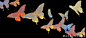 c17aaaably1h2367sf0htj23xg1q7qv5.jpg (5092×2239)