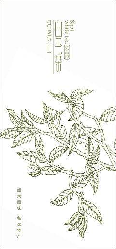 大可520采集到茶叶图