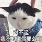 (16 条消息)首页 - 知乎