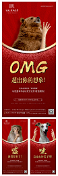【源文件下载】 海报 房地产 马戏团 嘉年华 马术 动物 熊 红金
