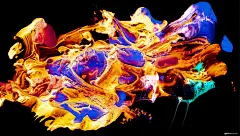 充满活力 多色 流体 创意 抽象 油漆 抽象图片背景图片图片壁纸