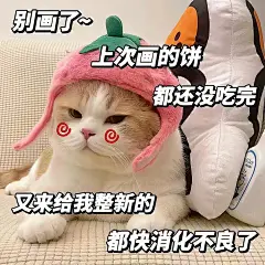 套路对象表情包 - 小红书