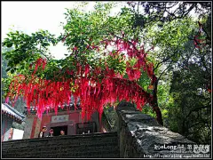 b 山路弯弯十八盘 climbing the tai mount