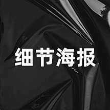 Fin6条条采集到Z04-细节海报