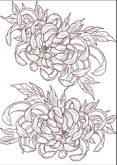 冻柠茶走茶采集到白描图