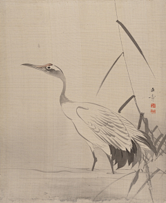 透明墨水78采集到国画