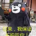 #熊本熊表情包# #熊本熊# #表情包# #熊本熊图片# #熊本熊图库#