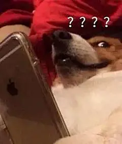 最近超火的看手机表情包 : .....................44..................&gt;.............................44..................&gt;.........…