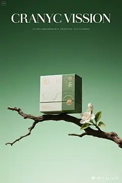 这副海报画面充满了东方和韵味的氛围。背景是高级绿色调，营造出一种中式茶韵味的感觉，海报中央突出显示了一盒茶包装盒，包装盒的下方有着一个枯枝和茉莉花。背景是绿色渐变，实景拍摄，干净