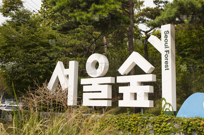 韩国,首尔,地形,森林,自然,草地,水平...